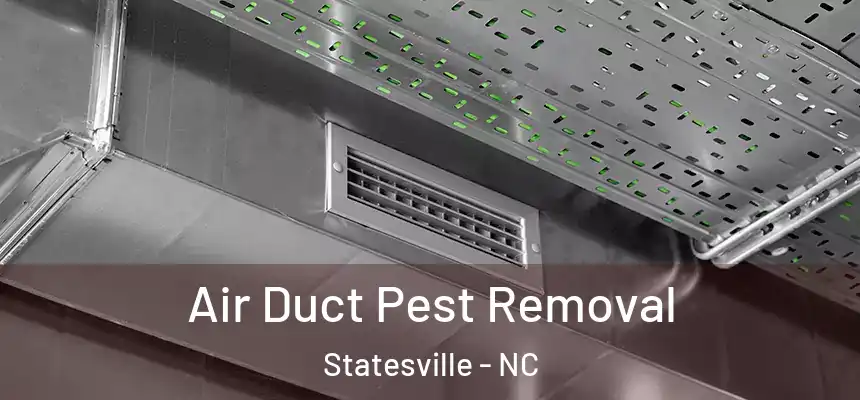 Air Duct Pest Removal Statesville - NC