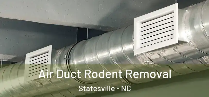  Air Duct Rodent Removal Statesville - NC