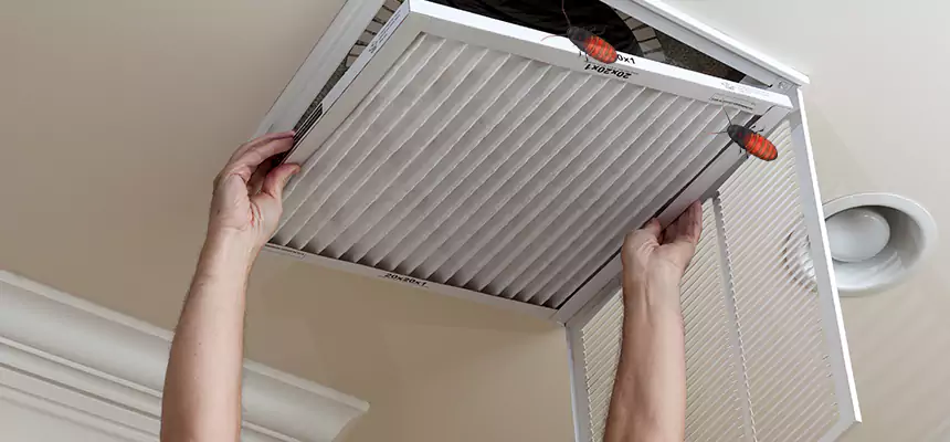Preventive Cockroach-Proofing for Ducts in Statesville