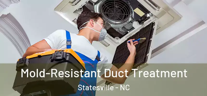 Mold-Resistant Duct Treatment Statesville - NC