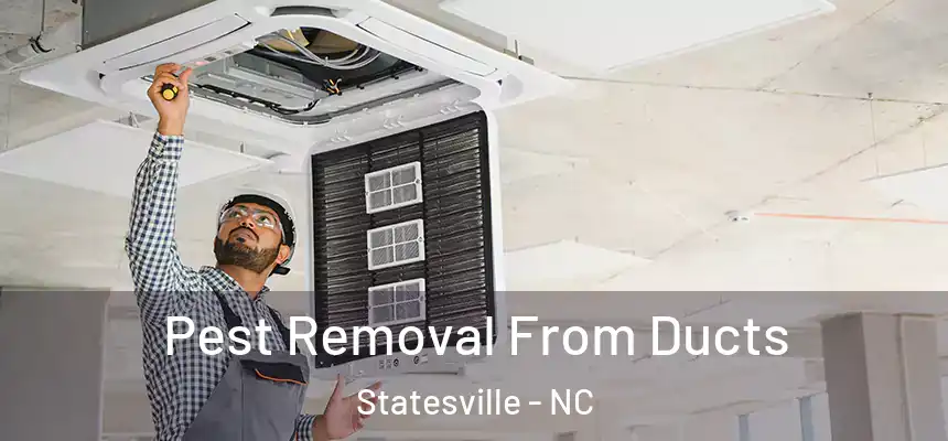  Pest Removal From Ducts Statesville - NC