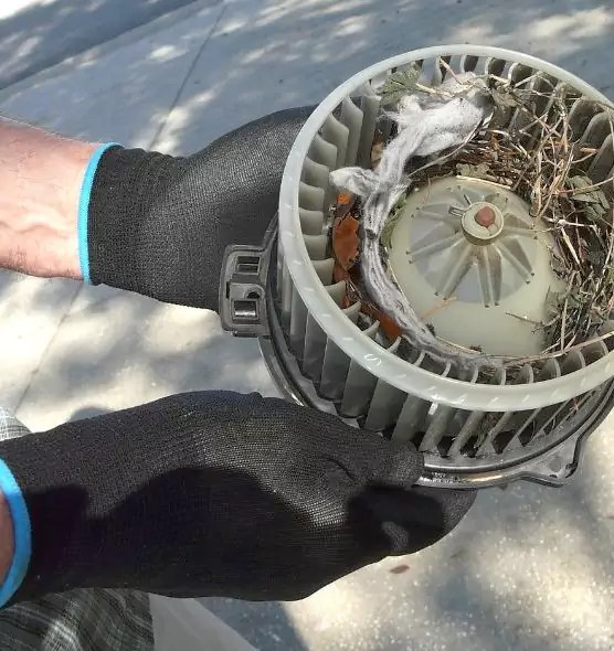 About Air Duct Rat Removal in Statesville, NC