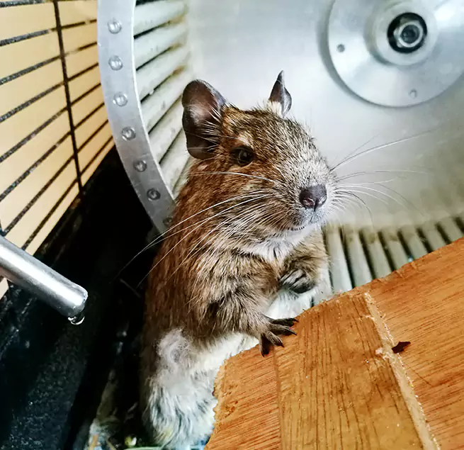 Why Homeowners & Businesses Trust Us Statesville, NC